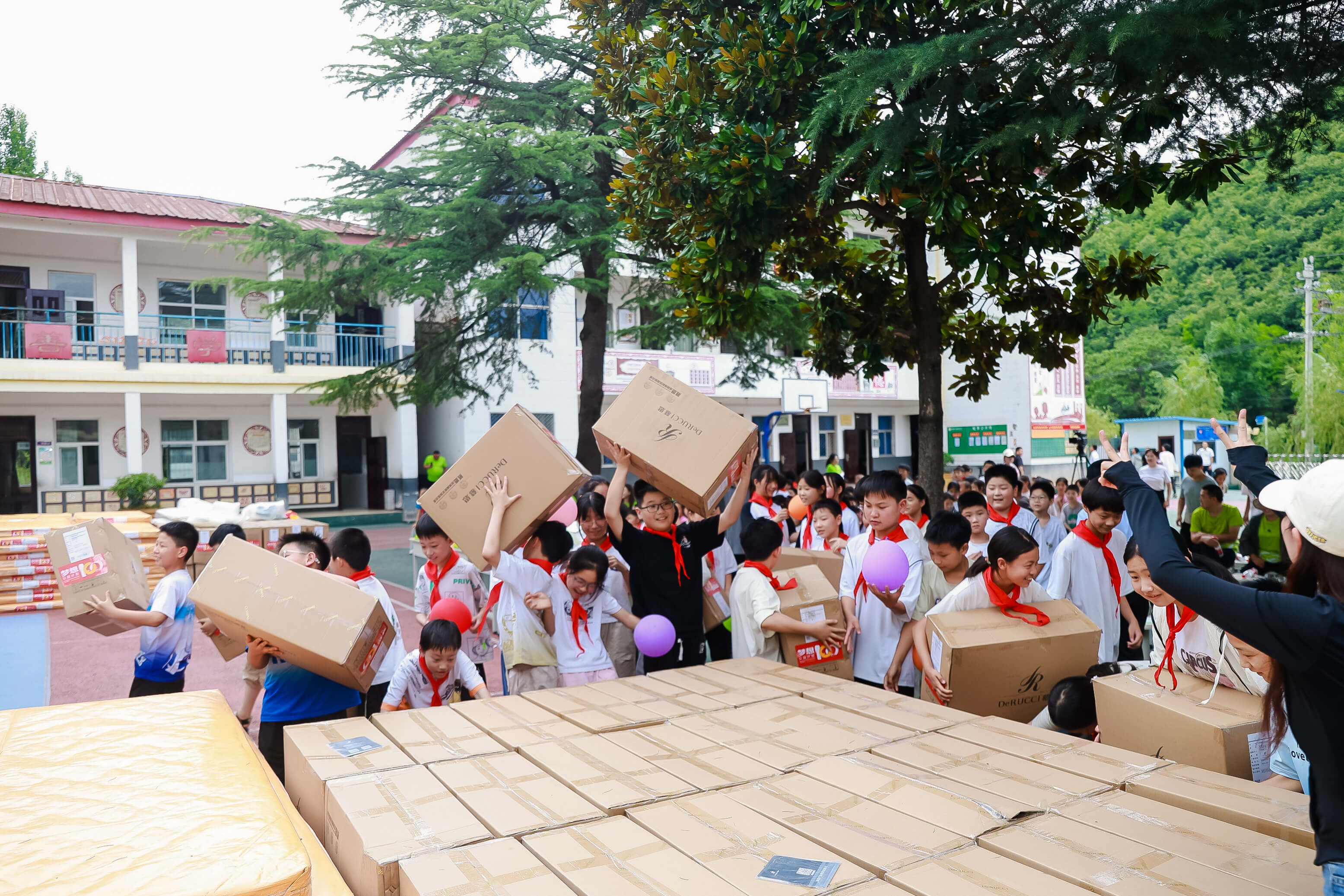 0fdd1630bee672fe3f02ab29ad506a6c